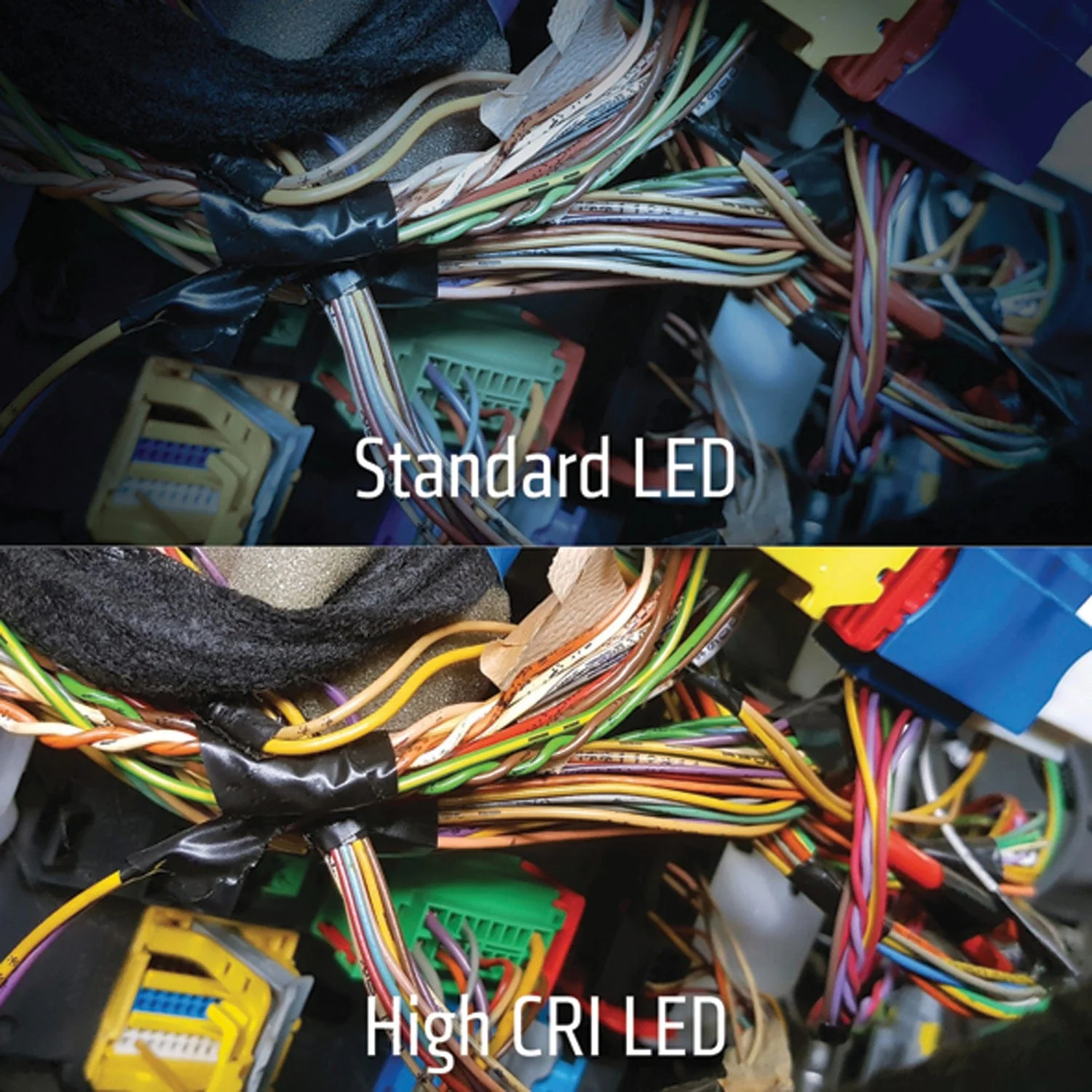 Dorcy Pro Series 470-Lumen LED High CRI and UV Tilting Headlamp - Image 3