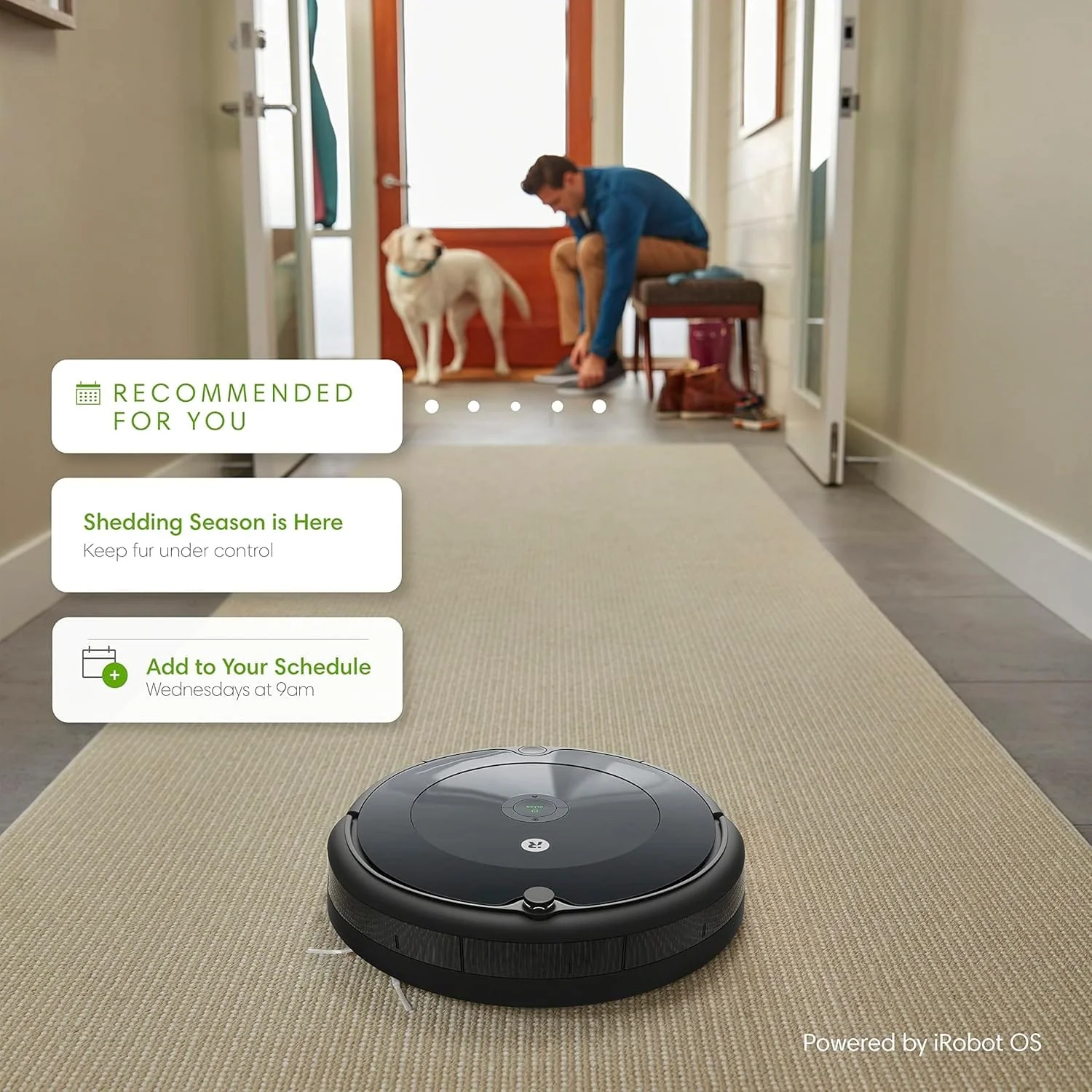 iRobot Roomba 694 Robot Vacuum, Wi-Fi, Alexa Compatible, Personalized Cleaning, Pet Hair, Carpets & Hard Floors, Self-Charging - Image 6