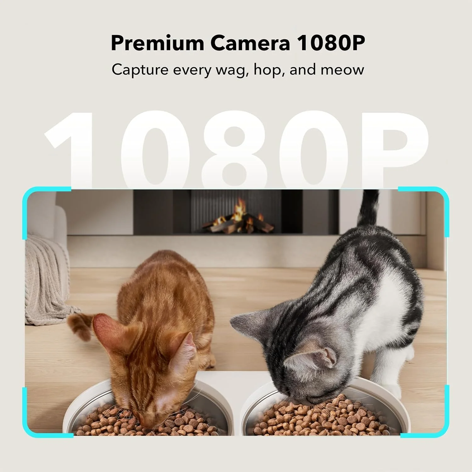 Petlibro Automatic Dual Tray Smart Pet Feeder with Video Camera, Night Vision, Low Food & Motion & Sound Alerts, White - Certified Refurbished - Image 2