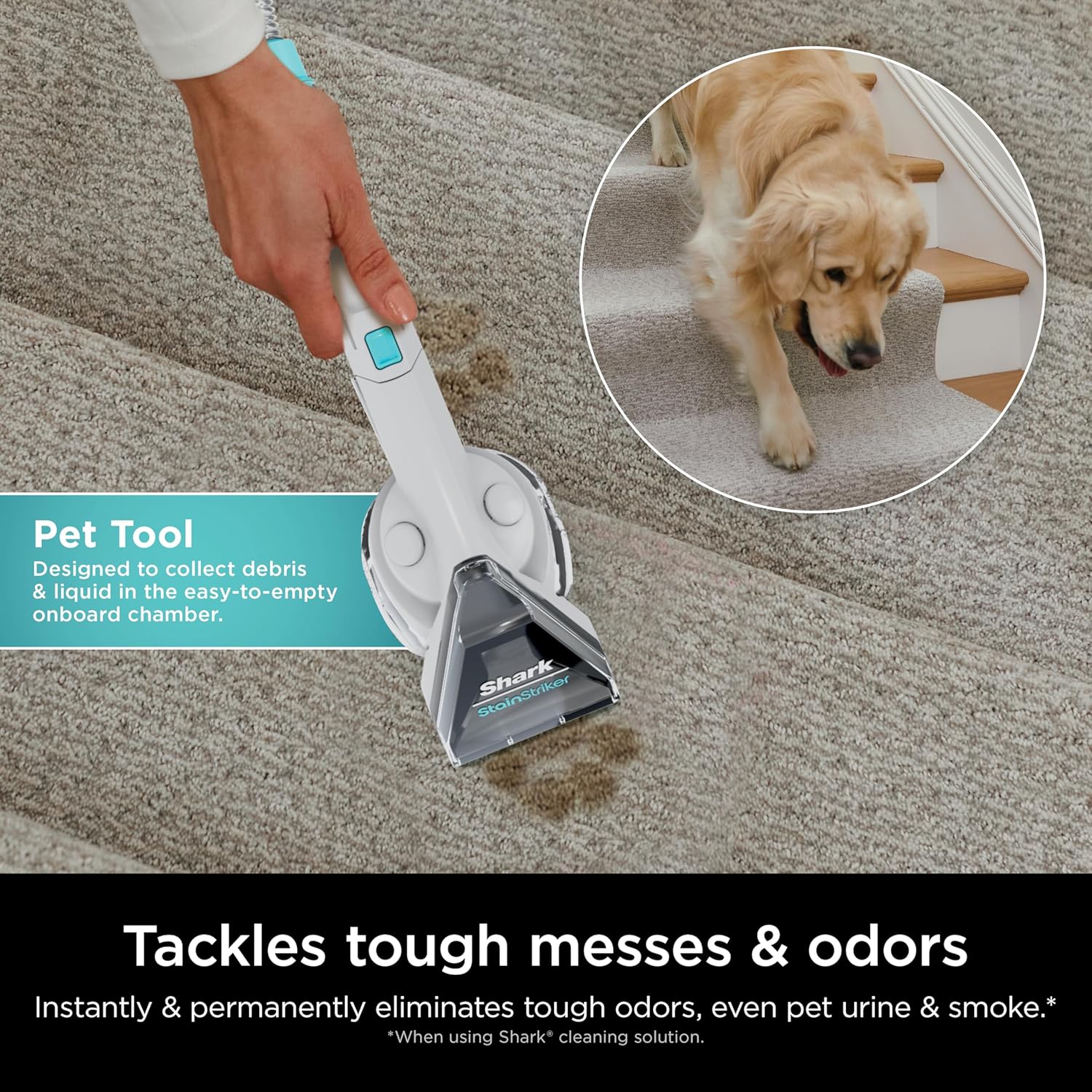 Shark CarpetXpert with Stainstriker Deep Carpet Cleaner, Cyan - Certified Refurbished - Image 7