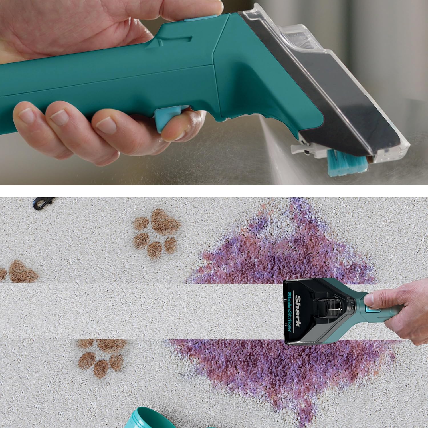Shark CarpetXpert with Stainstriker Deep Carpet Cleaner, Teal - Certified Refurbished - Image 4